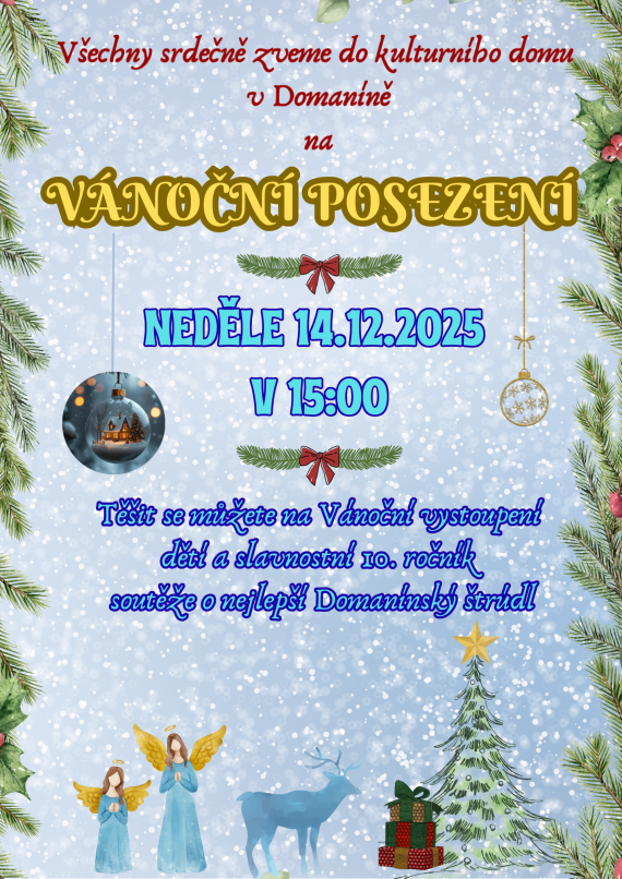 a3-vanocni-plakat-domanin.png